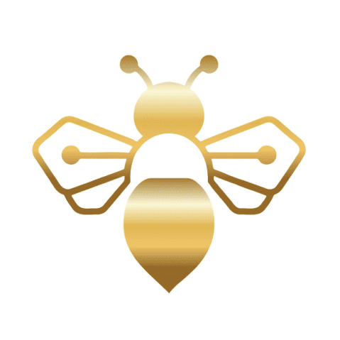 Your Premier IT Recruitment Partner